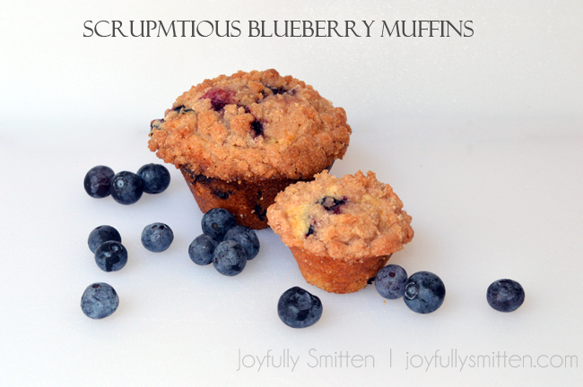 Scrumptious Blueberry Muffins