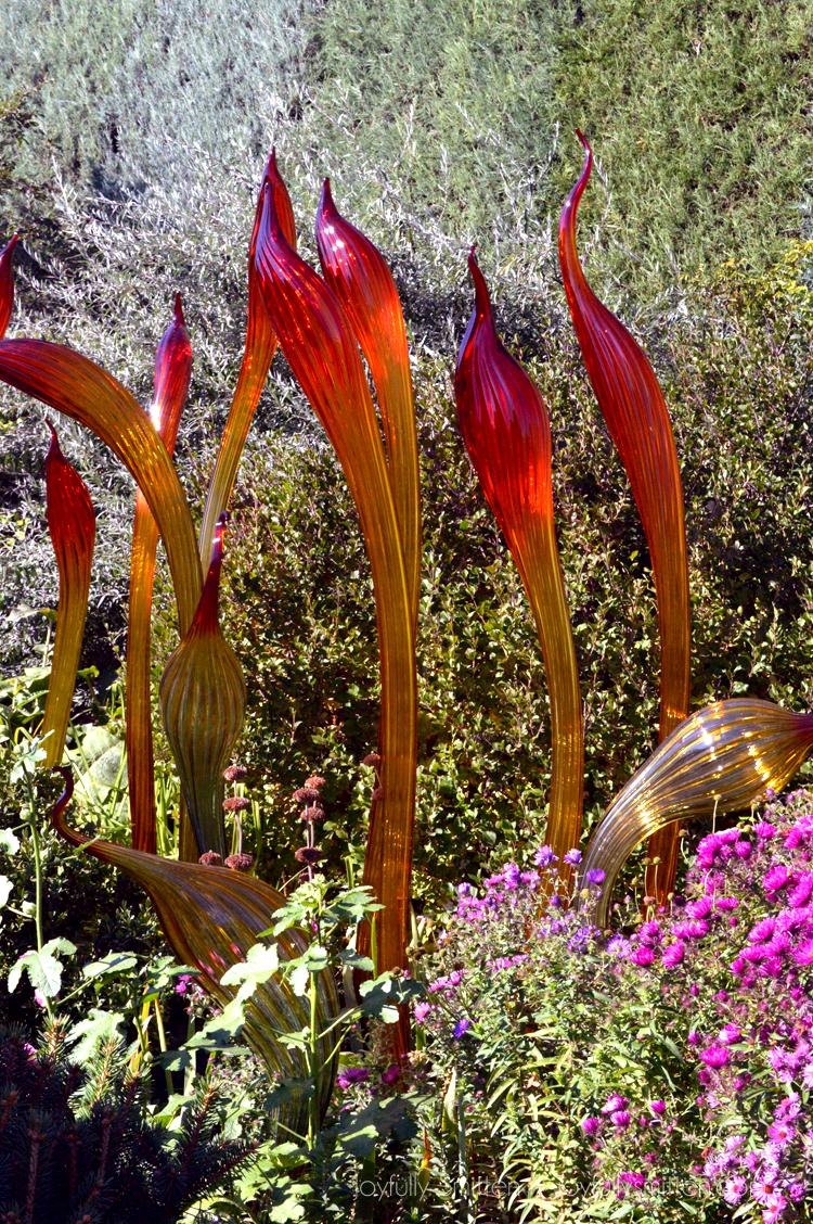 Chihuly & The Botanical Gardens