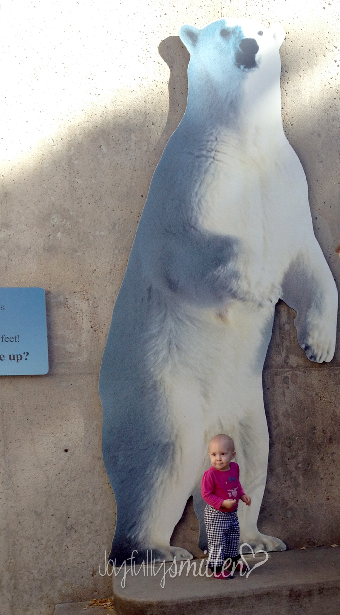 Our Trip to the Zoo