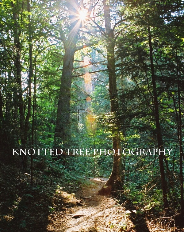 Captivated by the Captured Beauty.