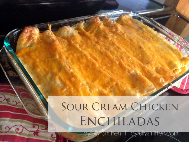 Sour Cream Chicken Enchiladas