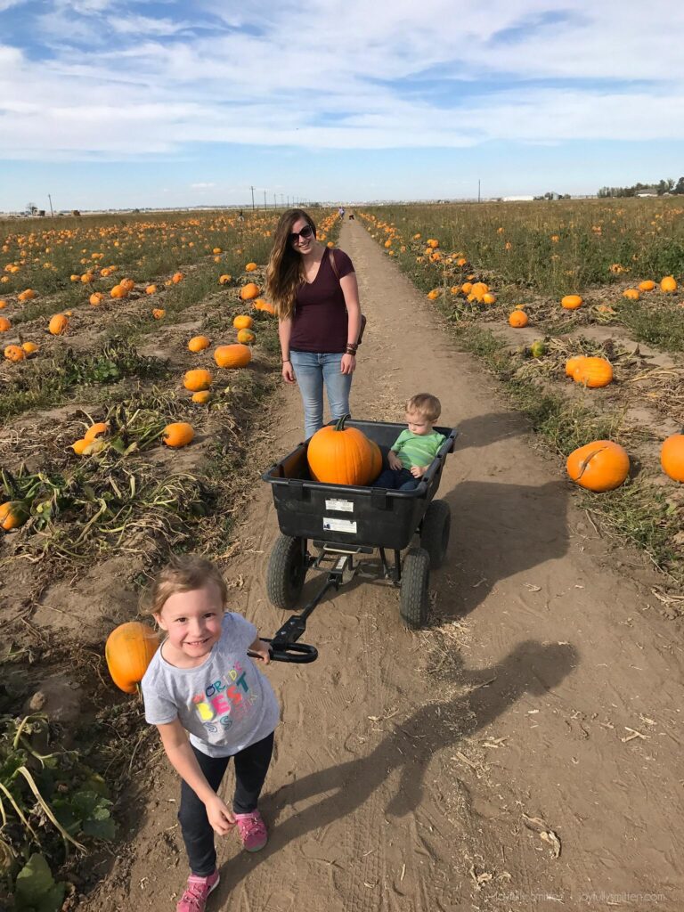 Fritzler Farms 2016