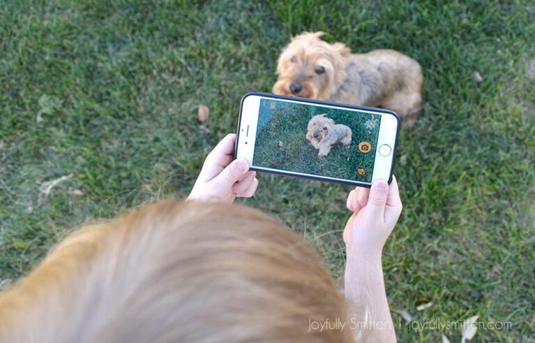 Get Outside with the Nature Cat Great Outdoors App!
