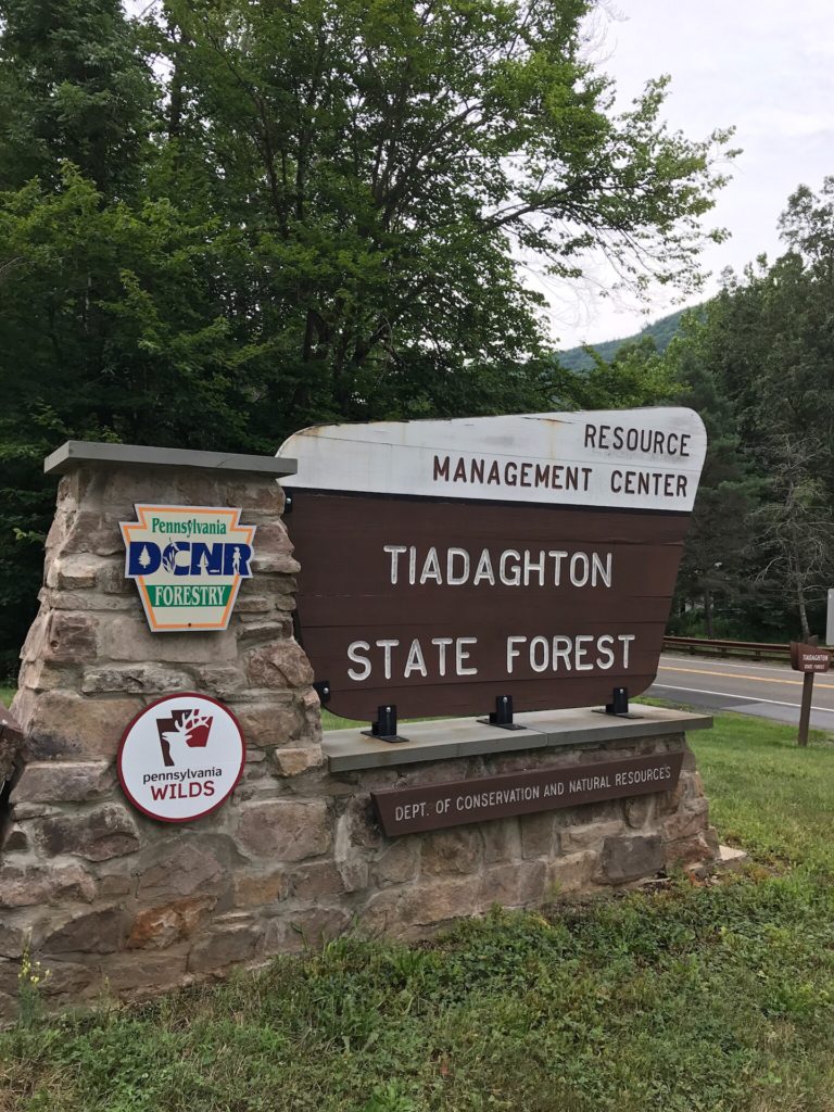 Tiadaghton State Forest Camping