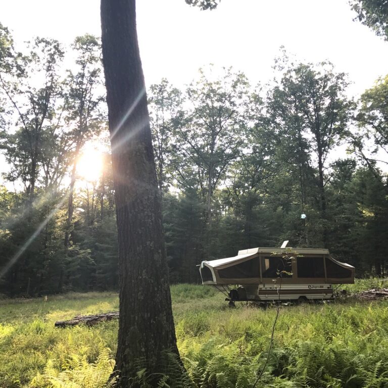 Sproul State Forest Camping