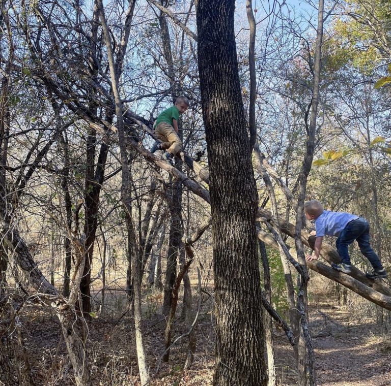 Creating a Love of Nature