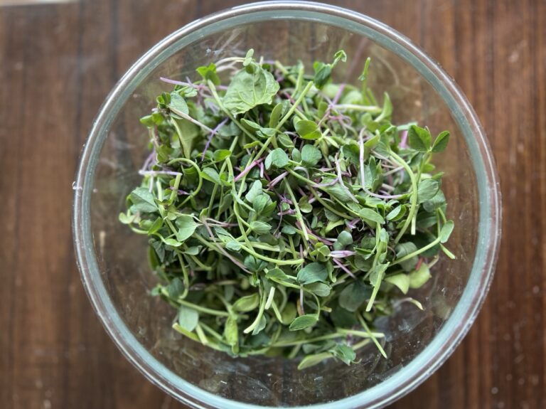 Why We Love Microgreens (And Why They Show Up in Our Kitchen All the Time)
